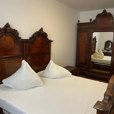 Vivaitalia 마씨모비스꼰띠