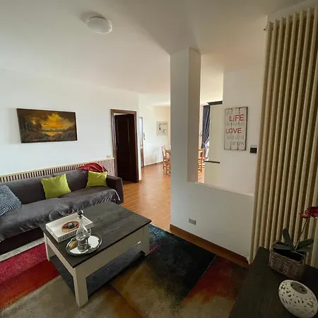 Vivaitalia 마씨모비스꼰띠