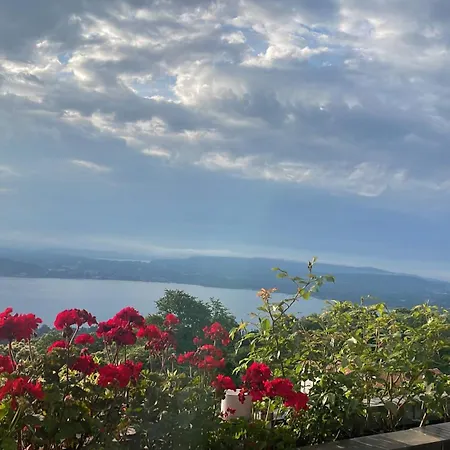 아파트 Vivaitalia