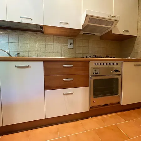 Vivaitalia 마씨모비스꼰띠